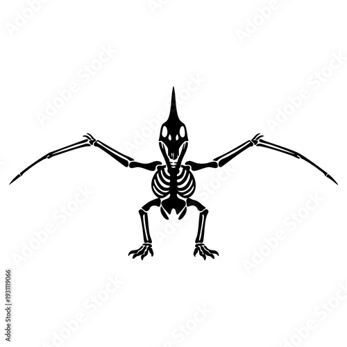 Pterodactyl skeleton, wings spread, front angle view