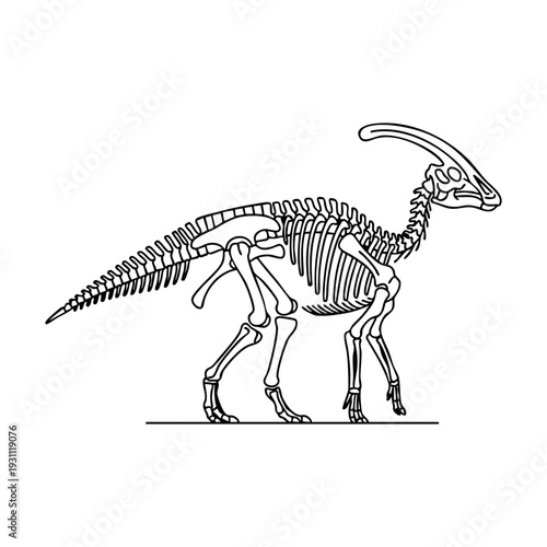 Parasaurolophus skeleton, side view with long curved