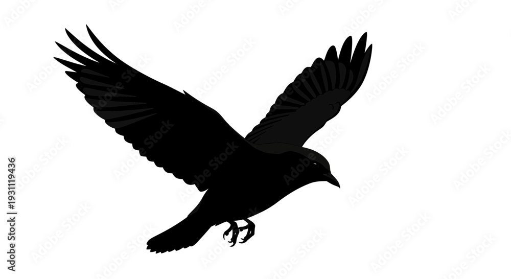 Naklejka premium Black Crow in Flight Silhouette Against White Background.