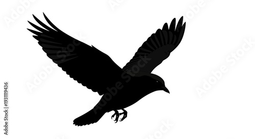 Black Crow in Flight Silhouette Against White Background.