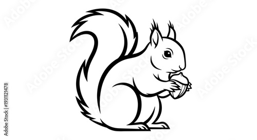 Cute Squirrel Holding Acorn Black and White Line Art.