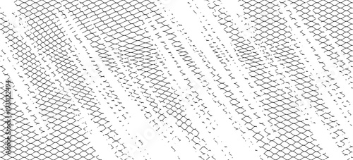 Black snake skin pattern isolated on white background eps 10