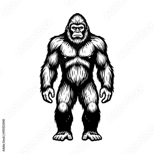 Bigfoot Illustration: Muscular Ape-Man Cryptid Standing