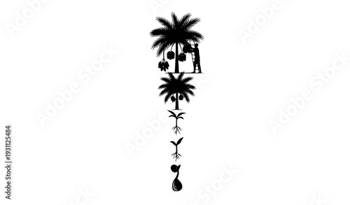 Palm Tree Growth Lifecycle Silhouette Illustration Showing Plant Development from Seed, Sprout, and Sapling to Mature Tree with Farmer Harvest Concept