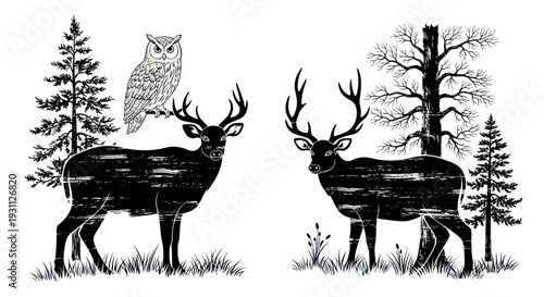 Deer and Owl in Forest Illustration