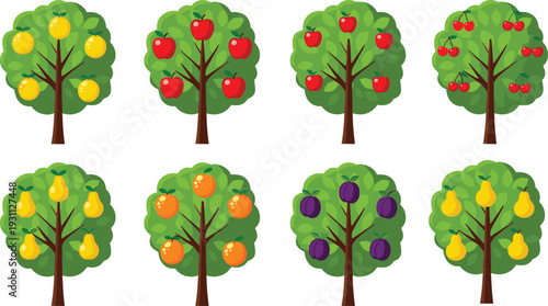 Vector collection of various fruit trees featuring apple pear orange plum cherry and lemon varieties with green leaves and ripe harvest for nature designs