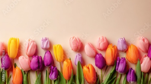 A flat lay of colorful tulip flowers in a spring arrangement