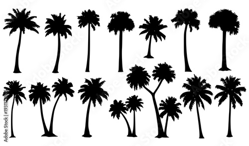 Simple Tropical Palm Tree Silhouettes Collection – Black Nature Vector Elements on White