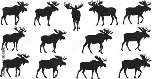 Moose silhouette icon set, black wild deer animals collection in various walking poses, forest wildlife symbols, nature hunting graphics, clean flat vector illustration isolated