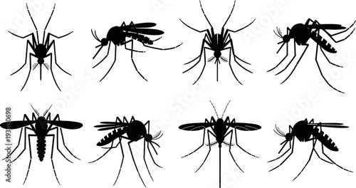 Mosquito silhouette icon set, flying insect poses for pest control, disease vector awareness, entomology symbols, black minimalist vector illustration collection