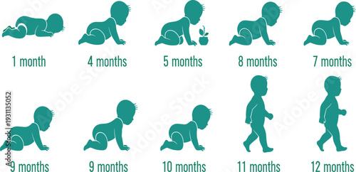 Baby developmental milestones from crawBaby developmental milestones from crawling to walking month by month growth stages infographic vector illustration isolated on white background timeline