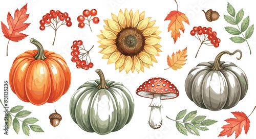 Autumn harvest vector set featuring pumpkins sunflower fly agaric mushroom red berries