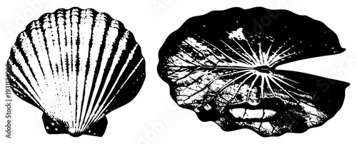 Classic scallop and lily pad rendered in bold black and white halftone, graphic design elements, nature motifs, vector art, isolated foreground, decorative.
