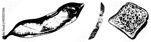 Vintage style halftone drawing of dried bean pod, bean slice, and textured toast, graphic, food illustration, rustic kitchen, culinary art.