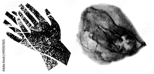 Graphic hand silhouette with textured halftone overlay, paired with organic abstract shape, both rendered in vector,, isolated foreground elements, artistic illustration.