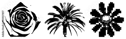 Stylized rose, palm, pixel snowflake in black vector. Minimalist, clean, negative space. Perfect for branding, print, or digital interfaces.