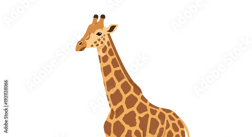 Giraffe Standing Alone with Long Neck.