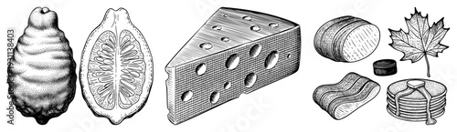 Classic engraved style food lemon, cheese, maple syrup, pancakes. Retro culinary art, black and white vector, halftone texture, food illustration.