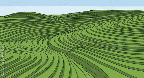 Green Tea Plantation Rows Hillside Landscape.