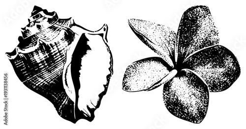 Hand drawn and plumeria flower in halftone dot, classic graphic design, tropical motif, black and white vector art, nature inspired silhouette.