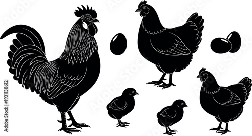 Chicken family silhouette set with rooster, hen, chicks and eggs, black farm poultry vector illustrations isolated on white background for agriculture design