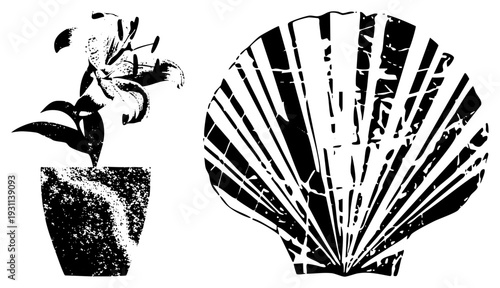 Black and white vector illustrations of lily flower in pot and scallop, halftone texture, graphic design elements, isolated, decorative motifs.