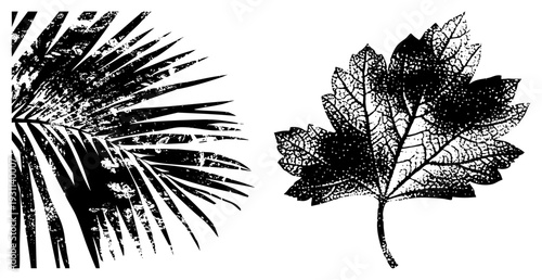 Black and white vector leaves, palm frond and maple leaf with halftone dot, botanical design, graphic art, isolated nature elements.