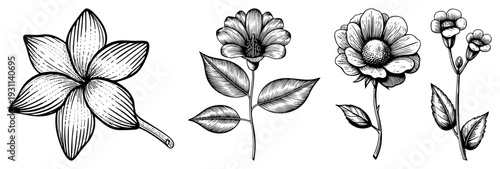 Stylized sketches in fine perfect for design, tattoos, or vintage decor. Synonyms botanical art, engraved flora, inked blooms, vintage botanicals, hand drawn flora.