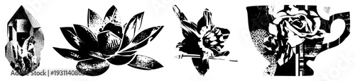 Stylized botanical vector art with halftone texture crystal, lotus, daffodil, rose motifs. Abstract nature with geometric/organic shapes,, graphic print style.