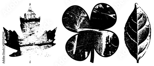 Stylized maple, clover, and single leaf cutouts with distressed halftone texture, stencil art, nature motifs, graphic design elements.