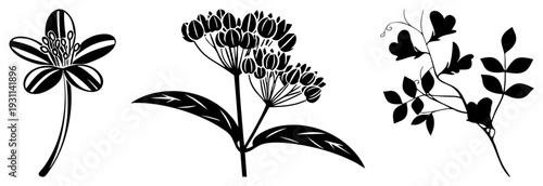 Black and white botanical vector art of stylized flowers and foliage, flat silhouette design, nature inspired graphic elements, motifs, plant, decorative botanicals.