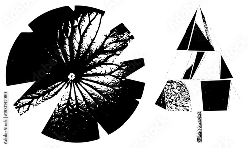 Stylized leaf with radial segments and textured, abstract tree with triangular facets, vector art, graphic design elements, minimalist botanical motifs.
