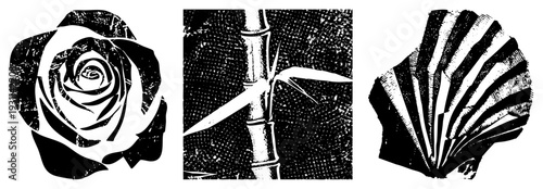Stylized rose, bamboo stalk with leaves, scallop rendered in high contrast halftone, vector graphic, isolated foreground elements,, textured strokes.