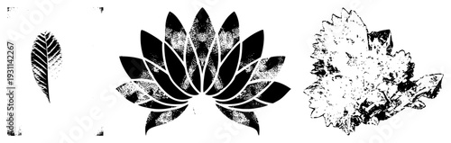 Graphic vector symbols of leaf, lotus flower, and crystal cluster, rendered in halftone texture,, minimalist design for branding or UI.