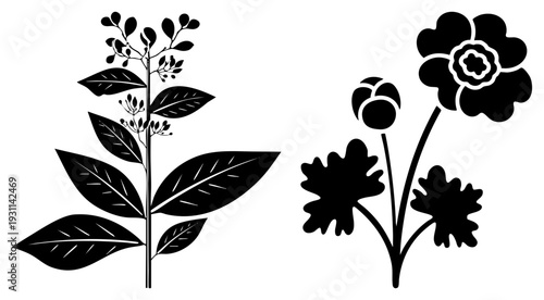 Black vector illustrations of plant stems with detailed leaves and stylized flowers, botanical design, isolated graphic elements, nature inspired art.