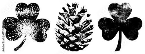 Distressed black and white clover leaves and pinecone graphic, rustic vector art, nature symbols, retro texture, folk design, isolated elements.