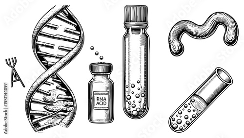 Scientific biology elements including DNA strand, RNA acid vial, test tubes with bubbles, and worm illustration, engraved vector art for genetics or lab contexts.