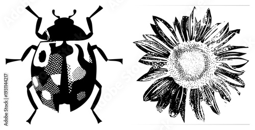 Black and white halftone ladybug with spotted, sunflower with textured center, vector graphic, isolated elements, glyph style, artistic print, graphic design assets.