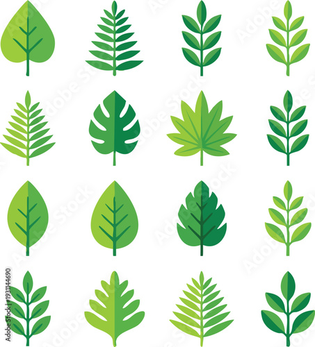 Collection of Various Green Leaves Shapes.