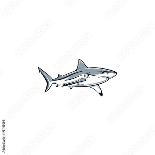 Stylized gray shark illustration isolated on a white background