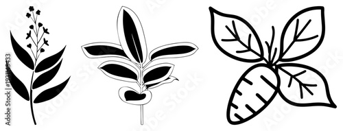 Minimalist black illustration of three plant forms flowering stalk, leafy sprig, root topped foliage with negative space, ideal for botanical design or.