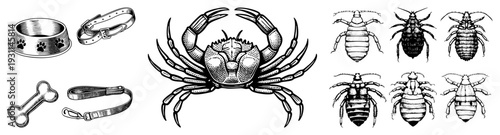 Dog bowl with paw prints, leather collar, bone shaped toy, leash, crab illustration, and various bug depictions all in classic engraved vector art.