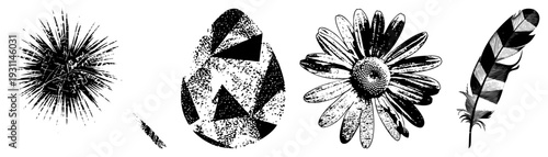 Stylized graphic featuring sea urchin spines, geometric egg, daisy petals, and feather striations all rendered in halftone texture and vector art.