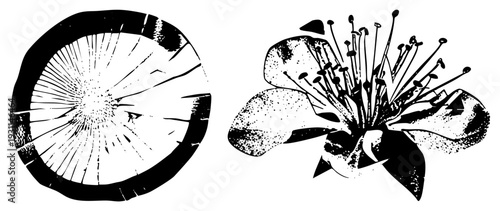 Vector botanical illustration of tree stump rings and flower bloom, halftone shading, black ink art, nature study, flora graphic.