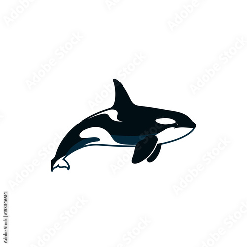 Stylized killer whale orca illustration on a clean white background