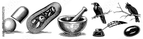 Classic writing tools including feather quill, inkwell, and raven perched on branch, vintage illustration, gothic motif, ink stained parchment, literary symbolism.