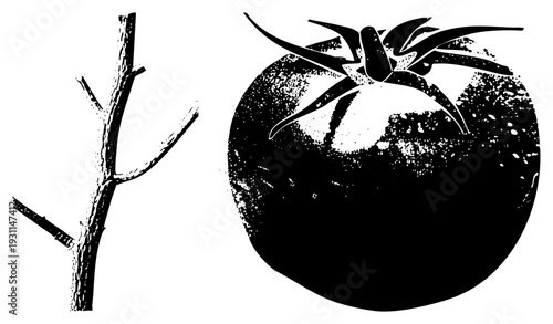 Tomato fruit with stem and leaves, vine branch silhouette, halftone texture, food illustration, agricultural, design.