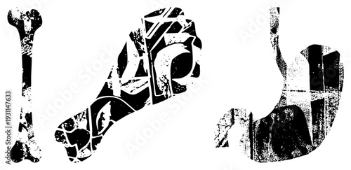 Abstracted human bones rendered as shattered geometric forms, anatomical cutouts, medical illustration style, black and white vector art, isolated skeletal elements.