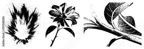 Graphic halftone flower, leafy branch, explosive dot vector botanical art, isolated nature elements, artistic print design.