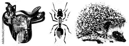 Detailed art of equestrian saddle, insect ant, and spiky hedgehog, rendered in with textured shading and clean.
